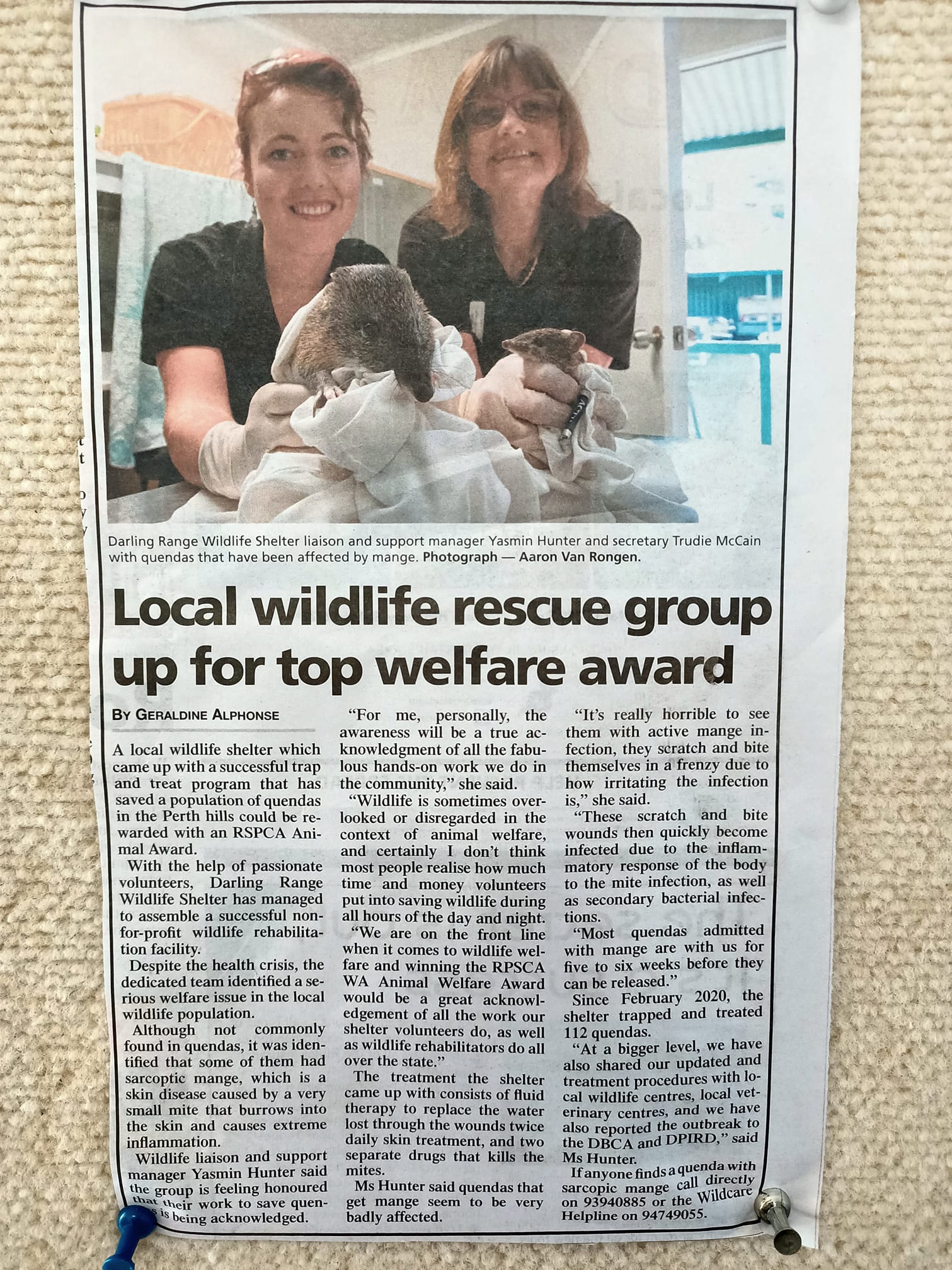 We were awarded a RSPCA Award for our work with Quenda!