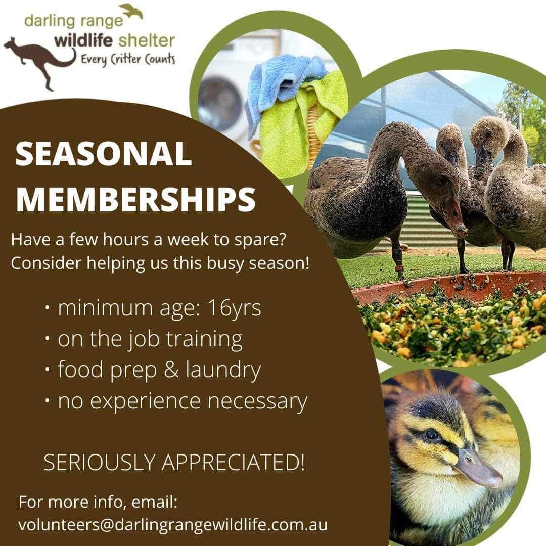 Join us as a Seasonal Member