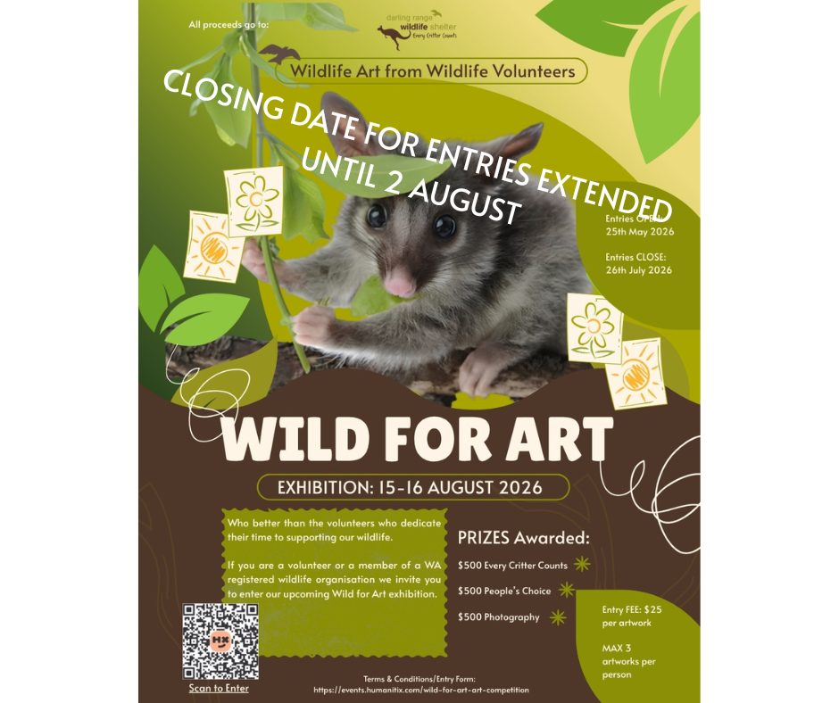 🎨 GOOD NEWS – WILD FOR ART ENTRIES EXTENDED! 🦘💚